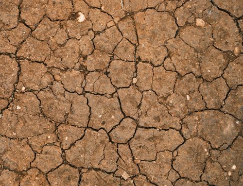 Loi ELAN et étude de sol : ce que la réglementation impose réellement et pourquoi elle est essentielle