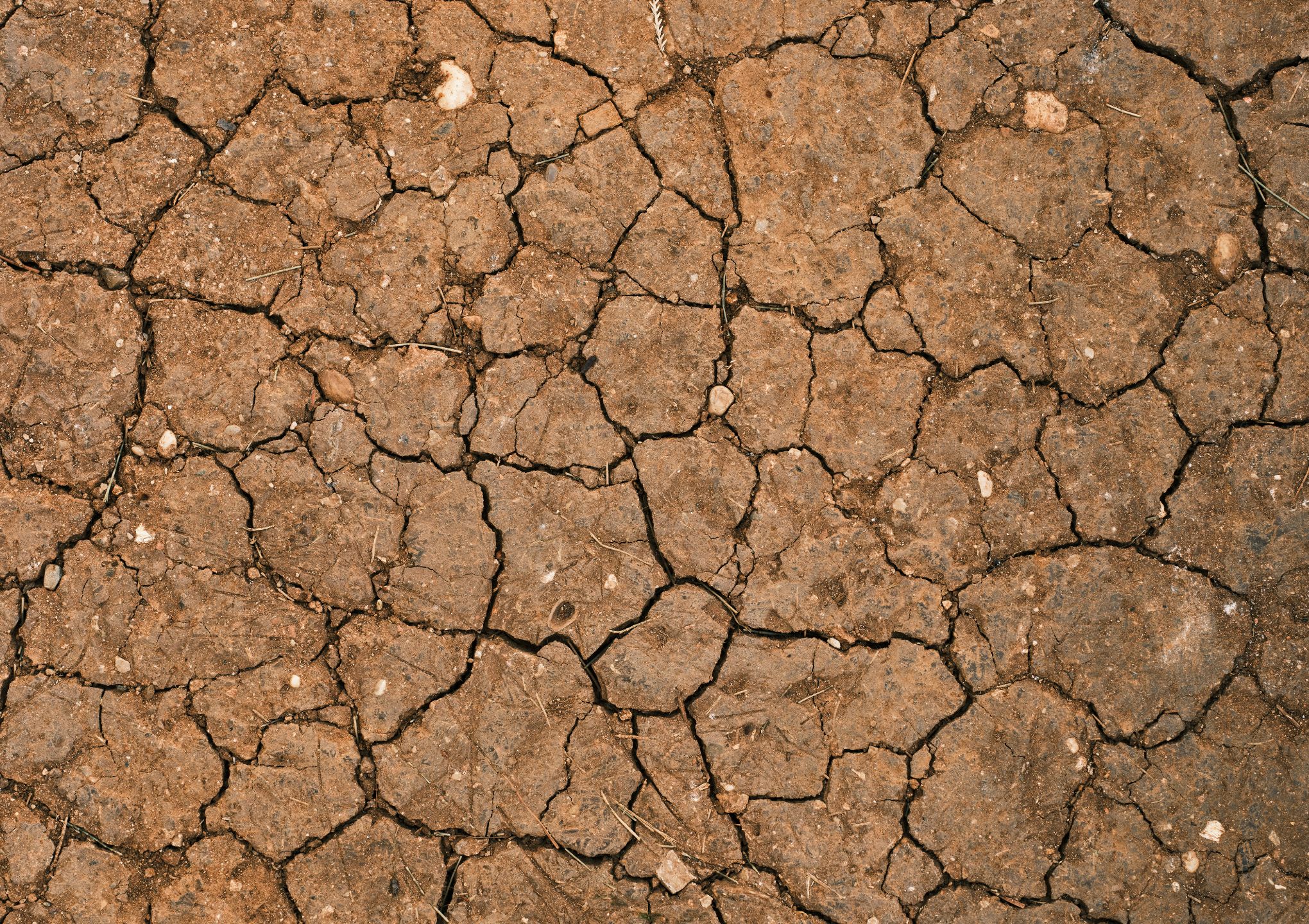 loi-elan-et-etude-de-sol-ce-que-la-reglementation-impose-reellement-et-pourquoi-elle-est-essentielle